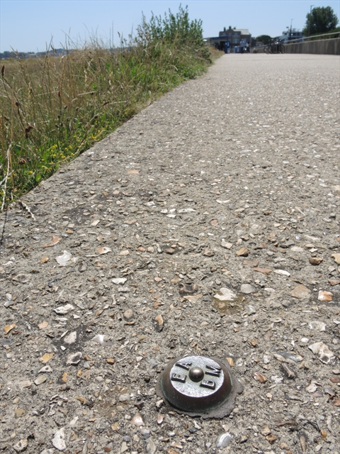 Environment Agency on Concrete pavement on seafront